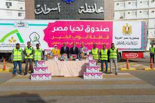 صندوق تحيا مصر ووزارة التضامن...